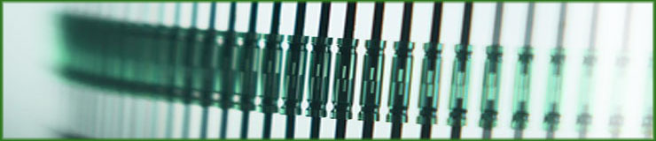 Reed Switch
